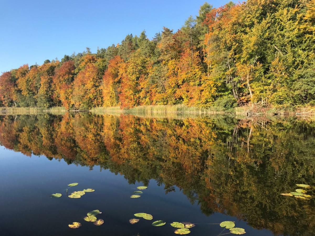 Ferienhaus Im Fischersteig Wustrow  Buitenkant foto